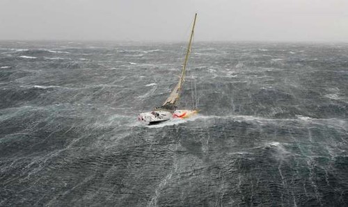 Alone in the Southern Ocean - what makes them do it? © SW